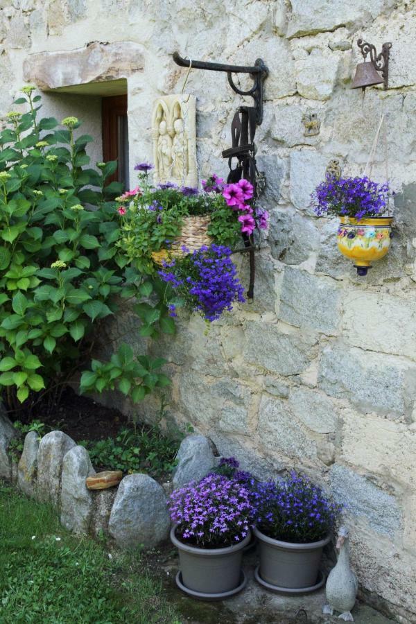 Canigou Lodge Vernet-les-Bains Exterior foto